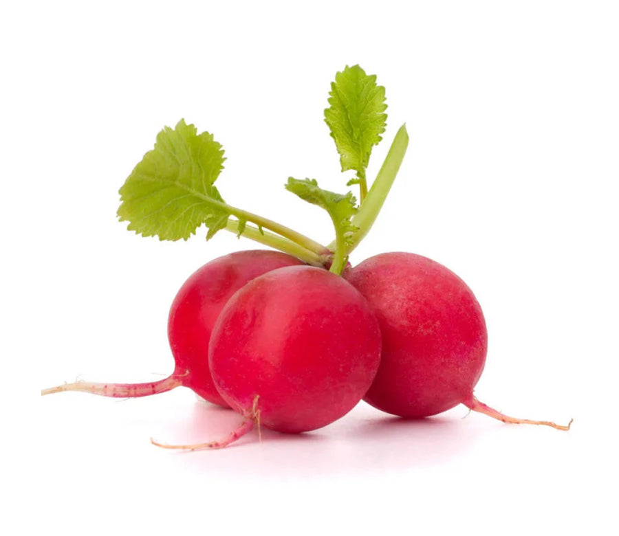 Organic Pink Radish